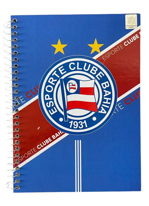 Caderno Universitário Capa Dura 15 Matérias 240 Folhas Esporte Clube Bahia